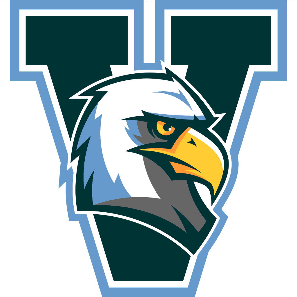 Valor-Eagles-logo